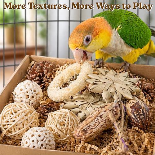Parrot Foraging Shredding Chew Toys Natural Materials, Interactive Foraging for Birds, Tearing Chewing Bird Set, Enrichment Shredding Box for Parakeets Cockatiels Conures, Parrot Accessories (Natural)