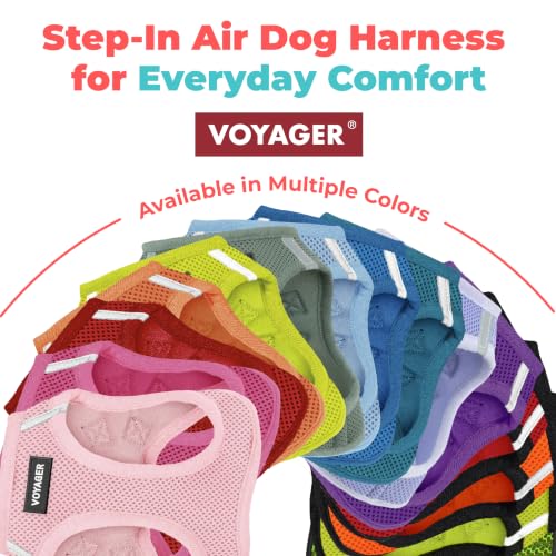 Voyager Step-in Air Dog Vest Harness - Army, XX-Small | 12 - 13.5" in Chest, Reflective Bands, All Weather Breathable Air Mesh, Cats Compatible, Lightweight, Fast Drying - color: Harness (Army/Black Trim), size: XXS (Chest: 12 - 13.5")