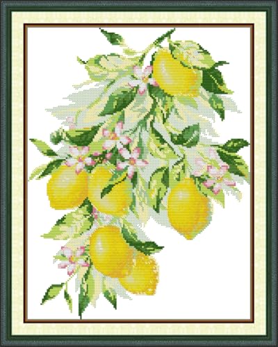 Meecaa Cross Stitch Kits 14 Count Stamped, Lemon Flower Embroidery Kit with Accessories Pre Printed (Wheat Field) - color: Wheat Field