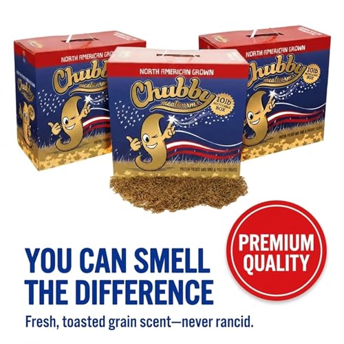 Chubby North American Grown Dried Mealworms | 30 lbs | Non-GMO High-Protein Treats for Chickens, Ducks & Wild Birds – Sustainable Chicken Feed - size: 30 Pound (Pack of 3)
