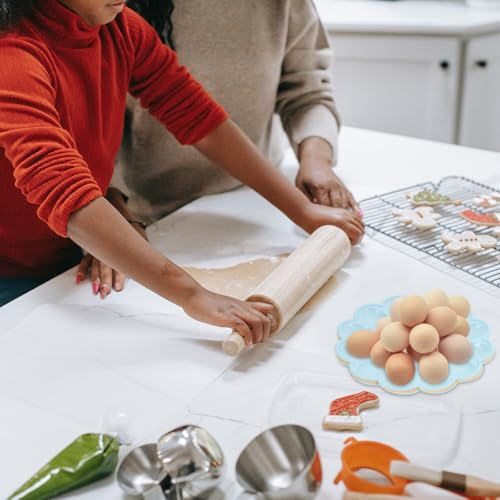 Abaodam 4Pcs Easter Plastic Egg Holder, Deviled Egg Containers Storage for Fridge, Easter, Thanksgiving Party Kitchen Supplies (Random Color)