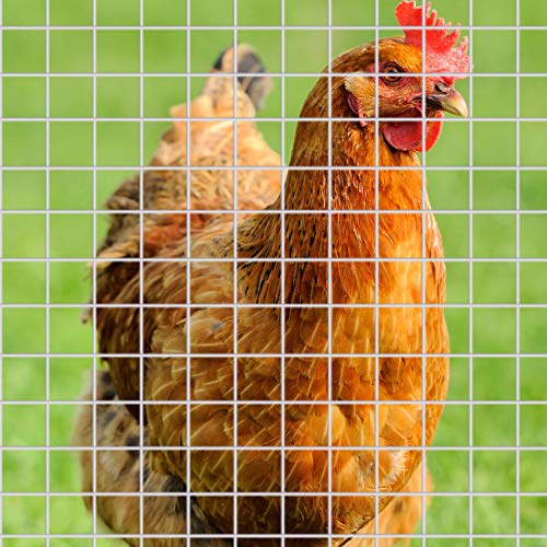 SATINIOR 2 Sheets 1/4" Chicken Wire Fence, Wire Mesh Roll, Hardware Cloth | Hot Galvanized Layer, Rust Resistant, Small Hole, Free-cuttable, for Coop, Garden Bed, Rabbit, Snake, Poultry, DIY Enclosure