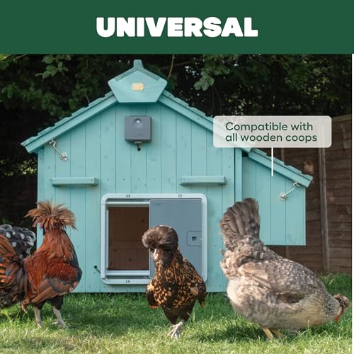 Omlet Automatic Chicken Coop Door Opener | Operated by Light Sensor or Timer | Easy to Install, No Maintenance Required | Improves Coop Security and Insulation | Built-in Safety Sensors | Grey - color: Grey