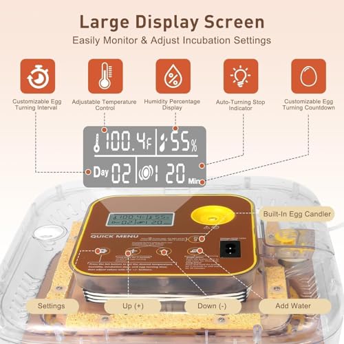 Gen IV - 12 Egg Fully Automatic Incubator, 2026 Upgraded Design, Intelligent Sensor-Based Humidity & Temp Control, Custom Hatch Days, Adjustable Auto Turning with Auto-Stop, 360° View, Alarm, Candler - size: 12 egg-brown