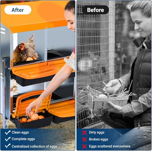 Chicken Nesting Box,Chicken Egg Laying Box with 10 Compartments, Roll Away Eggs Laying Boxes, Nesting Boxes, Indoor & Outdoor Use,Easy Egg Collection, Easy Cleaning - color: Orange, size: 10 holes