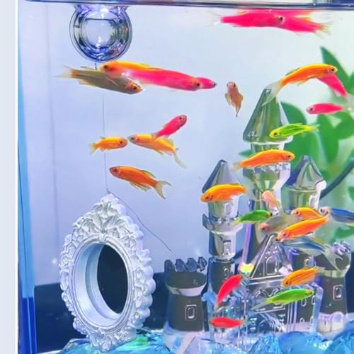 2 pcs Set Betta Floating Training Mirror for Fish Tank, Aquarium Feeding Floating Mirrors, Fish Toys, Bettas Toy