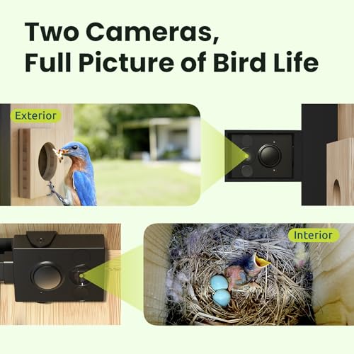 Smart Bird House with Dual 1080P Cameras, Lifetime Free AI Bird ID | Solar Powered, Remote Control, Bamboo Bird Nest for Garden & Bird Lovers, Watch Robin Nesting Story in Realtime, DIY Gift