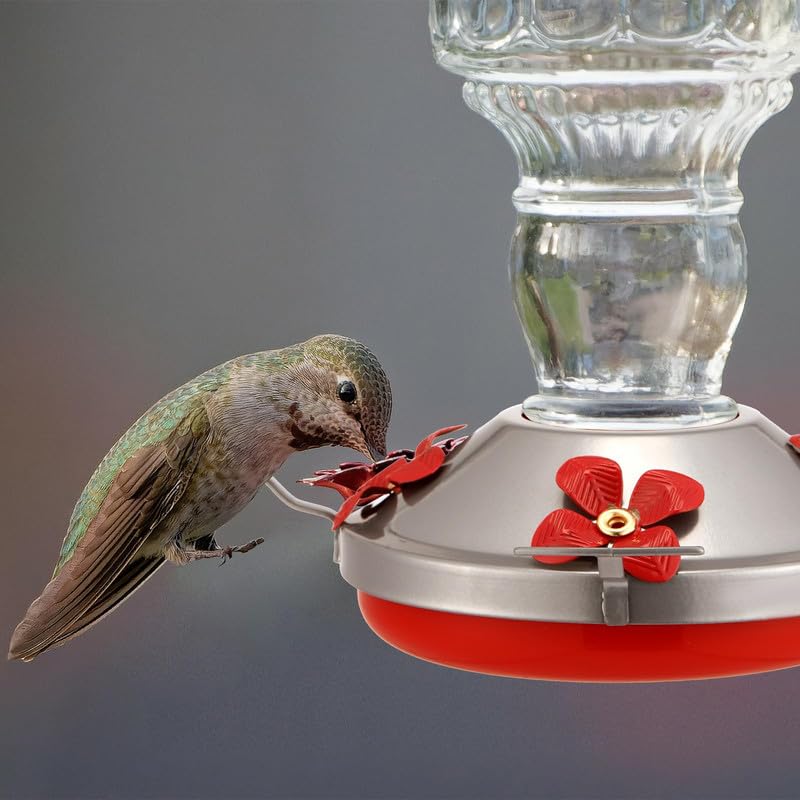 3 Pack Hummingbird Feeder Replacement Parts, Metal Top Cover with 4 Perches & 4 Flower Ports, Includes 3 Cleaning Brushes, No Feeder Bottom Base Included(Silver) - color: Silver