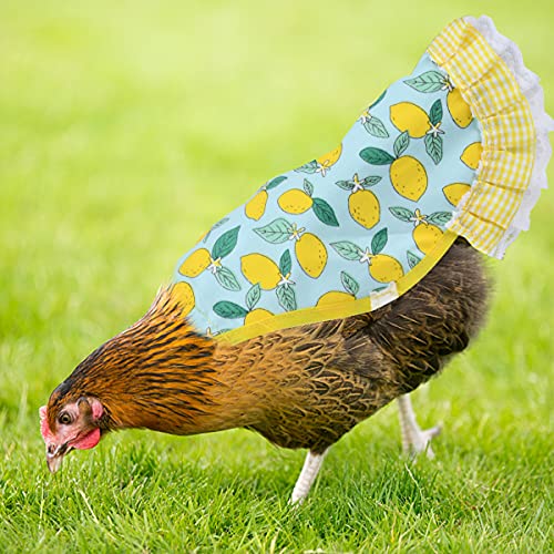 6pcs Chicken Saddle for Hens，Waterproof Chicken Saddle | Chicken Apron for hen Wing Back Protector with Elastic Straps, Print Feather Protective Chickens Vest Jacket - color: Chicken Saddle Hen 6pcs(a)