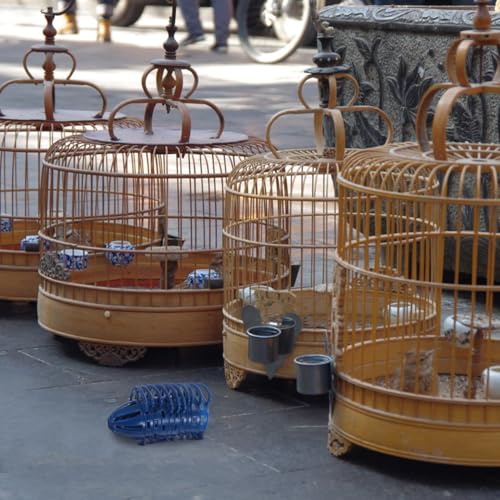 Hanging Bird Food Basket 10-Pack Cage Cup Feeders for Fruits Vegetables and Eggs Multi Functional Egg Holder for Parakeets Small Birds and Songbirds 2.75 X 2.67 X 1.37 in