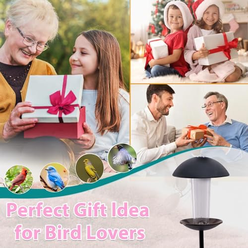 Metal Bird Feeder with Pole Stand - 1.5lb Capacity | Matte black finish, rust-resistant, attracts wild birds to yard, lawn, or garden, easy to install & fill, gifts for mom