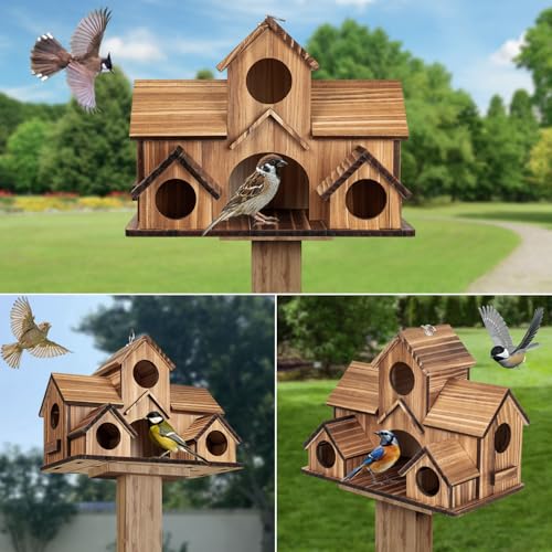 Bird Houses for Outside, 5-Hole Wooden Birdhouse for Bluebirds Finch Swallow Wren Chickadee Hummingbird, Hanging Bird House for Outdoor Clearance Garden Courtyard
