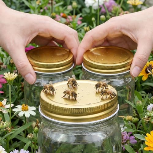 Toddmomy 8pcs Metal Bee Feeders Entrance Beehive Lid, Honeybee Feeder for Beehive Water or Sugar Syrup Feeding Equipment, 7.30X7.30X1.50CM