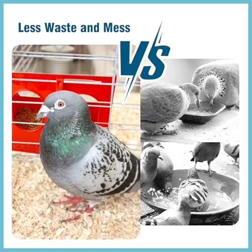 2Pcs Hanging Pigeon Feeder Water Box for Cage Suitable Quail Parrot Budgie and Other Birds (Three Holes)