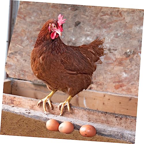 Yardwe Coconut Fiber Hatching Mat for Eggs Incubation Pad Strainer Pet Nesting Blanket