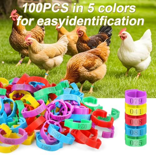 100 Pcs Adjustable Chicken Leg Rings | Multicolor Numbered Chicken Identification Leg Bands, Durable Poultry Leg Bands for Chickens Turkey Goose Ducks