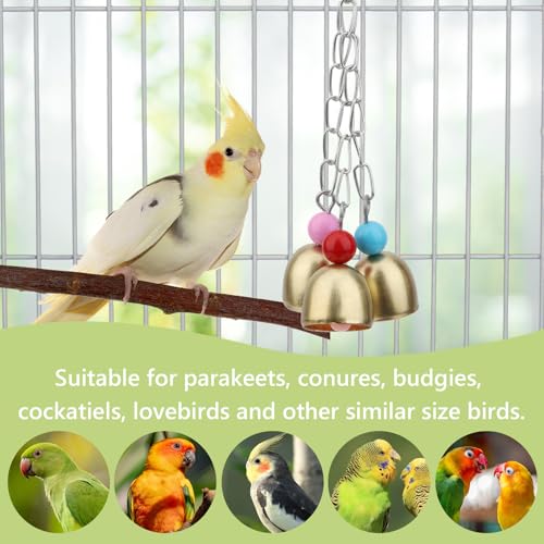 Hypeety Bird Bell Toy with Sweet Sound Cage Hanging Swing Bell for Parakeet | 3 brass bells with colorful beads, chewable for easy-hanging, encourages play and exercise, for small and medium bird, 7.09'' - color: Bell Toy-3 bells (B)