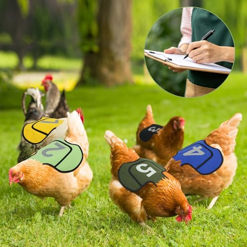 THREE ORANGES 3 Pack Chicken Saddles for Hens, Chicken Apron Back Protector with Adjustable Straps, Breathable Canvas Hen Saddles for Back and Feather Protection, Numbered Poultry Care Design