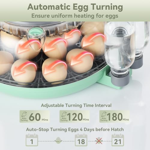 18 Egg Incubator with Automatic Egg Turning for Hatching Chicken Quail Duck | Hatching Unit with Digital Control & Built-in Candler, 2 Size Egg Tray Automatic Water Refill, Egg Incubator for Turkey Goose