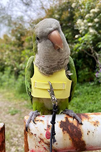 Bird Flight Harness Vest, Parrot Flight Suit with Leash for Parakeets Cockatiels Conures Budgies, Bird Flying Clothes with Rope and Handle for Outdoor Activities Training, Anti Bite (L, Yellow)