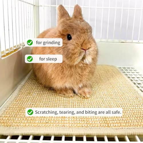 2PCS Rabbit Scratch Mat Natural Bunny Scratching Pad Claws and Teeth Care Rabbit Mats for Cages Chew Toys for Bunny Pet Cage Bedding for Biting Sleeping Nesting, 24x16 - size: 24"x16"