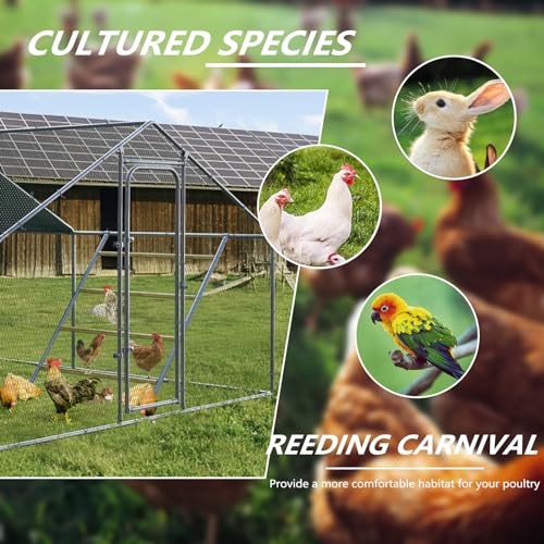 Chicken Coop Roosting Perch,Perfect for Backyard Poultry,Chicken Perch Essentials,Easy to Assemble&Clean,Farm Chicken Toys (56" L x 41.5" W) - size: 56" L*41" W-1pcs