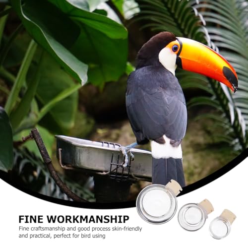 BESPORTBLE Bird Bowl Bath Tub Set: 3pcs Glass Bird Food Cup Water Cup Bathing Basin Transparent Birdcage Accessories
