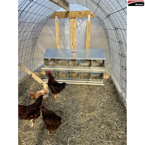 Brower 2-Tier 10-Hole Galvanized Steel Chicken Nesting Box, 50 to 60 Hen Capacity – Outdoor Poultry Laying Station with Hinged Folding Perches, Ventilated Design & Slanted Roof – Made in the USA | Outdoor Poultry Laying Station with Hinged Folding Perches