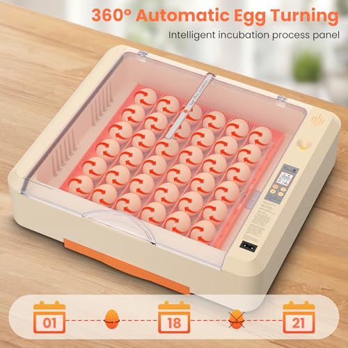 Egg Incubator with Auto Turning and Humidity Control, 36-60 Eggs Hatcher with External Drawer Water Tank, Adjustable Space for Chicken Duck Goose Quail Turkey Eggs, Orange