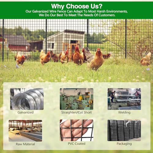 GILPWA Wire Fence, 36 in(H) X 50 ft(L) PVC Coated Welded Wire Fencing 2" X 2" 16GA Garden Border Vinyl Metal Chicken Wire Fencing Mesh Roll for Yard Vegetable Plant Protection Poultry Netting Black - size: 36in*50ft