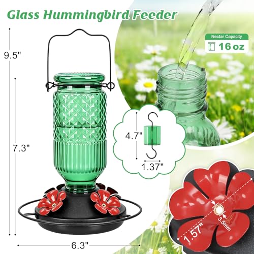 Glass Hummingbird Feeder, 16oz Outdoor Hanging Bird Feeder with Ant Moat, 4 Bee-Proof Feeding Ports, 360° Perch, Leak-Proof, Green - color: Green