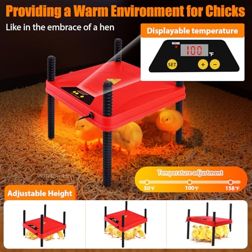 Brooder Box for Chick, 6-in-1 Chick Starter Kit - Brooder Heating Plate | Pop Up Chick Brooder Box with Baby Chicken Pen, Feeder, Waterer, Perch, Nesting Pad Up to 15 Baby Chicks, Duck and Quail
