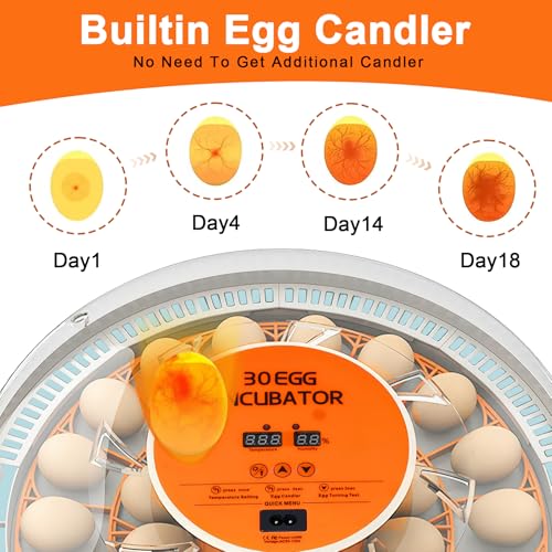 30 Egg Incubator with Automatic Egg Turning and Humidity Control,360 Degree View with Clear Window, Incubators for Hatching Eggs, Chicken, Ducks, Goose, Pigeon, Quail, Parrot - size: 30 Eggs