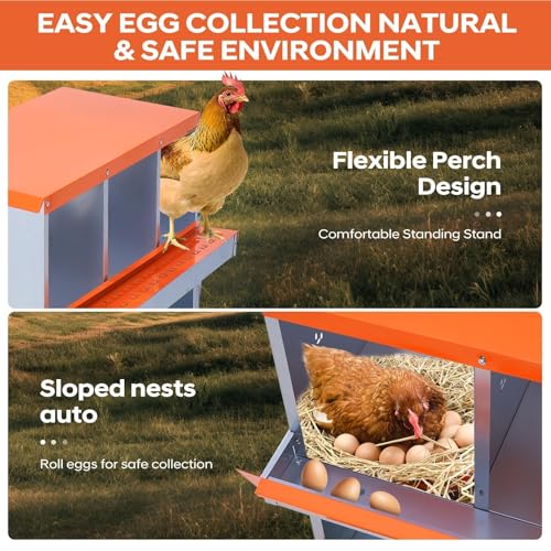 Garvee Chicken Nesting Box, 6 Compartments Nesting Box for Chickens, Galvanized Steel Chicken Laying Box for Easy Egg Collection, Wall Mounting - color: Orange | 6 Compartments+legs