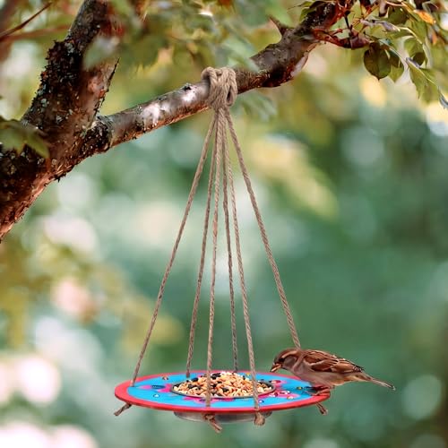 CroBlissful 12 Pack Bird Feeder Craft Kits for Kids DIY Your Own Bird Feeders with Paint and Paintbrushes Wooden Arts and Crafts for Kid Ornaments to Paint Feeders Craft for Garden (Round) - style: Round
