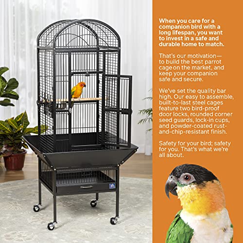 Prevue Pet Products Dome Top Bird Cage with Push Button Locks - Black | Powder‑Coated Steel Cage with Wheels, Seed Guards, and Perch, Ideal for Cockatiels and All Small-Medium Sized Birds - color: Black Hammertone, size: 18.0"L x 18.0"W x 54.6"H