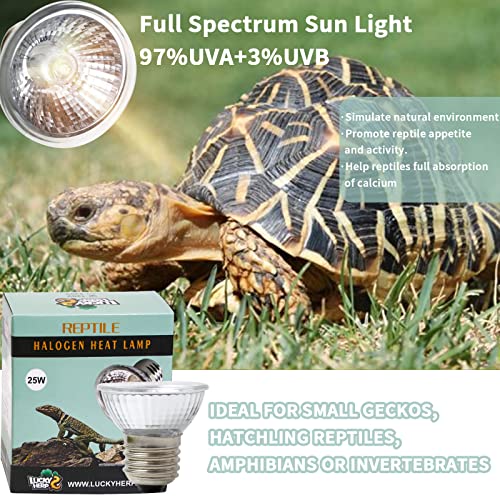 LUCKY HERP 4 Pack 50W UVA UVB Reptile Light Bulbs, Heat Lamp Bulbs for Reptiles and Amphibians, Basking Light Bulb for Turtle, Bearded Dragon, Lizard Heating Use - size: 50*4