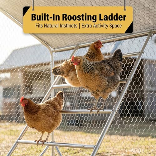 Efficraft Walk-in Chicken Coop, 19.5 x 9.8 x 6.5 ft, Waterproof Cover | 19.5 x 9.8 x 6.5 ft walk-in run with metal frame, PVC-coated mesh, lockable door, and waterproof cover. - size: 236"L x 118"W x 78"H