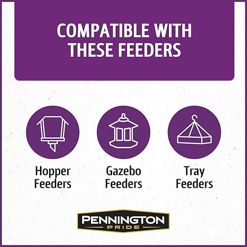 Pennington Songbird Nut & Fruit Blend Wild Bird Seed for Outside Feeders | Songbird bird seed for outside feeders, advanced nutrition formula with real fruit, nut & seeds, birdseed for wild birds