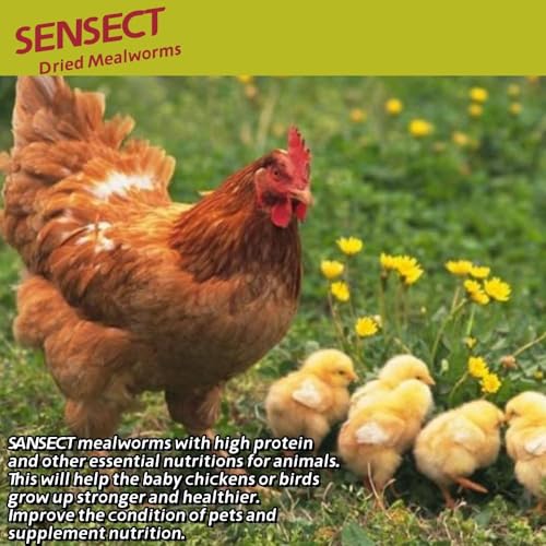 SANSECT 20LB Dried Mealworms for Chickens, Ducks, Wild Birds, Reptile Food | High Protein Treats, 100% Natural, Non-GMO Mealworms for Chickens, Ducks, Turtles and Reptiles and Laying Hens - size: 10 Pound (Pack of 2)