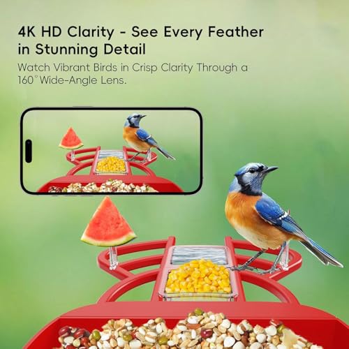 Smart Bird Feeder with Camera, Solar Panel & 5200mAh Battery, 4K HD Video, AI Identification, Instant Arrival Alerts & Alarm, IP65 Weatherproof, 32GB Card, 2L Capacity, for Bird Lover - color: Red