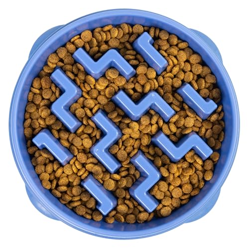 Outward Hound Fun Feeder Slo Bowl – Large 4‑Cup Capacity, Slow Feeding, Medium to Large Dogs, Non‑Slip, Blue, Notch Pattern - color: Blue, size: Large