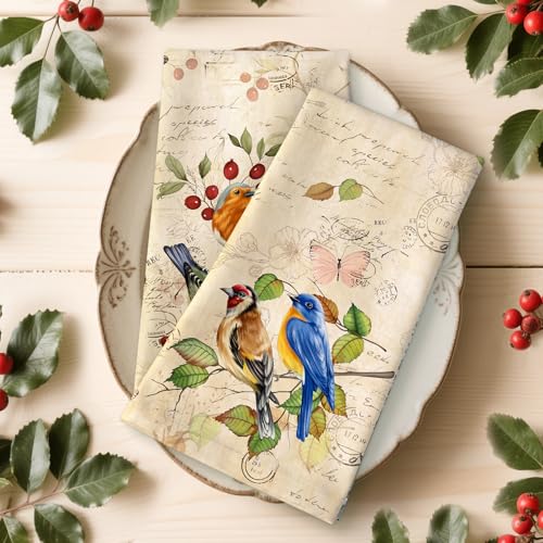 Vintage Birds Tea Towels, 100% Cotton Kitchen Towels, Set of 4 | 18.9 x 27.5 in / 48 x 70 cm, Lightweight Woven Dish Cloth with Retro Birds Print for Bird Lovers, Hostess Gift - color: Retro Birds