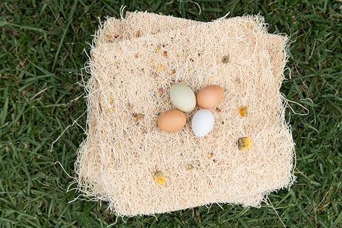 Chicken Nesting Pads with Aromatic Nest Herbs | Natural Excelsior Aspen Fiber Poultry Bedding | 13 x 13 Inches | Pack of 10 - style: With Aromatic Herbs