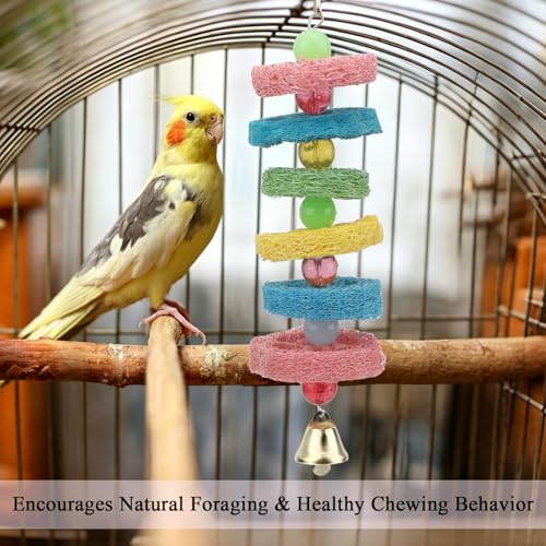 Hypeety Bird Toys Parrot Hanging Chew Toys Natural Colorful Loofah Shred and Preen Swing Bird Bell Cage Parrot Toys - color: Loofah Shred Toy