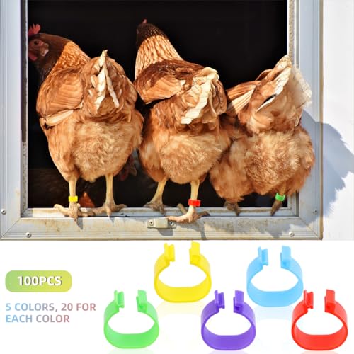 Tenalleys 100 PCS Chicken Identification Band 5Color Chicken Leg Rings 16mm Poultry Foot Rings Leg Bands Clip-on Rings for Poultry Identification
