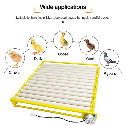 HBtree Automatic Multifunction Incubator Egg Tray Turning Hatcher for Chickens/Ducks/Birds/Poultry（13 Tubes） - color: 13 Tubes