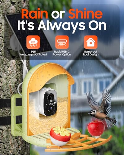 Bird Feeder with Camera, Smart Birdfeeder with Cam Solar Powered, 2K HD Video, AI Identification, Instant Arrival Alerts, IP66 Bird Bath & Feeder,Gift for BirdLover (with Stand, Green) - color: Green, style: With Stand