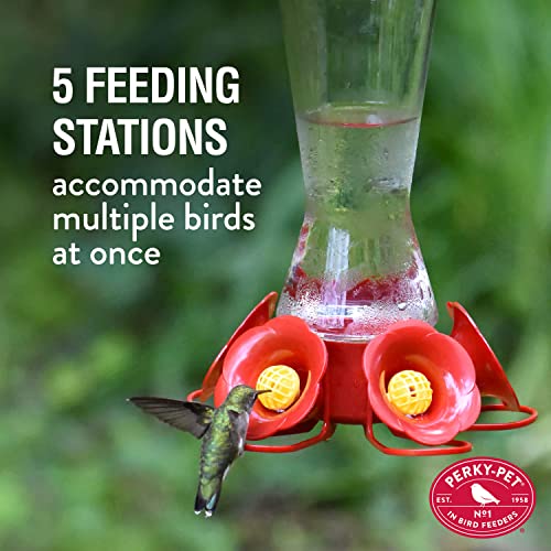 Perky-Pet 204CP-4 Favored Pinch-Waist Glass Hummingbird Feeder with Built-in Ant Moat and Bee Guards - 16 oz (Pack of 2) - style: 2 Feeders