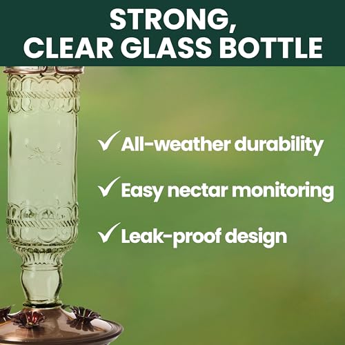 Perky-Pet Antique Glass Bottle Hummingbird Feeder - Outdoor Garden Décor Hummingbird Feeder - 8107-1SR - 10 Fl Oz Nectar Capacity - Durable Humming bird Feeder for Backyards, Porches, Decks, Hooks - style: Clear Bottle